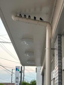 就労セミナーを開催しました